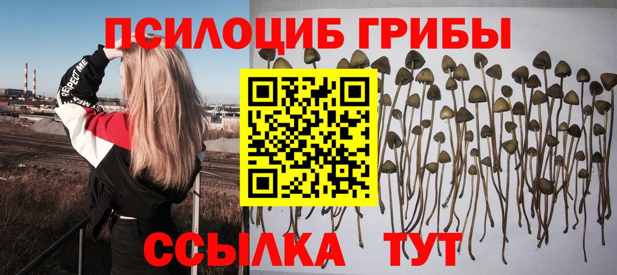 Псилоцибиновые грибы ЛСД Урус-Мартан