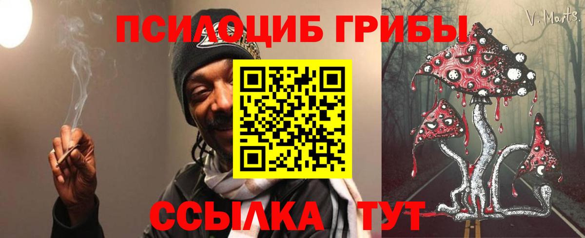 Урус-Мартан  Псилоцибиновые грибы мухоморы  Вход с VPN 