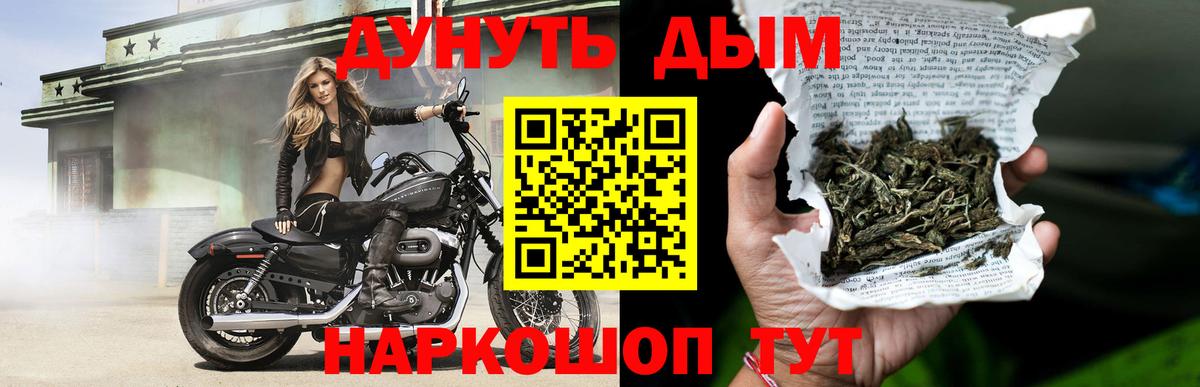 Каннабис конопля Урус-Мартан